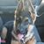 Cindy Jarvis Williams's profile image