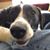 Julie Pfeiffer's profile image