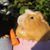 Debbi Head's profile image
