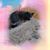 Allie Lahmann's profile image
