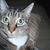 Belle Bugg's profile image