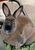 Deana N.'s profile image
