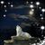 Dawn Williamson's profile image