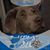 Lisa Smithson's profile image