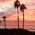 Deborah Lynn's profile image