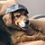Lori Legin's profile image