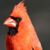 Kathie Hilliard's profile image