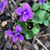 Wanda Kalbach's profile image