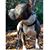 Tony Dambra's profile image
