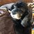 Chuck Deb Metzgar's profile image