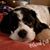 Jodi Mehring's profile image