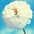 Preeti Patel's profile image