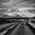 Rashawn Omar Romney's profile image