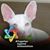 Lynn Tragesser McCollum's profile image