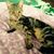 Marilyn Holcomb's profile image