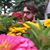 Rob Kolb's profile image