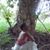 GoddessMother OfOrisha SupaQueen's profile image