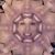Angel Ventucci's profile image