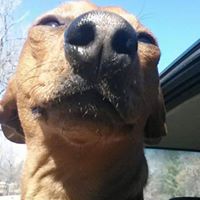 Proctor Moore's profile image