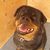 Laura Wells's profile image