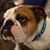 Angela Conwell Elkins's profile image