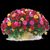 Marcia Ann Frey's profile image