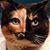 Vonda Eller's profile image