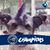 Diane Sussman Ragsac's profile image