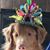 Cherie Bluhm's profile image