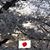 Engracia Rojas's profile image