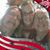 Kim Thompson Kuhn's profile image