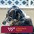 Tina Moler Grove's profile image