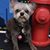 Maridez Michelle Akins's profile image