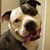 TJ Duenas's profile image