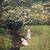 Joy Kephart's profile image
