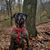Cin L. Kopp's profile image