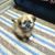 Tracy Vantreese Wright's profile image
