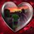 Christina Cantatore-Lombardo's profile image