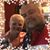 Bill-Mistie Pounders's profile image