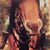 Shelby Herrick's profile image