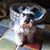 Mary Blumreich's profile image