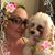 Valerie Kay Smith's profile image