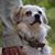 Juba Rennels's profile image