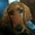 Kathy Walters's profile image