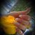 Sanaz Nazifi's profile image