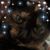 Audrey Anne Blandford's profile image