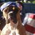 Dwight Lafollette's profile image