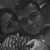 Zarate Felipe Acacio's profile image