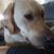 JJ Paur's profile image