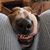 Julia Phillips's profile image